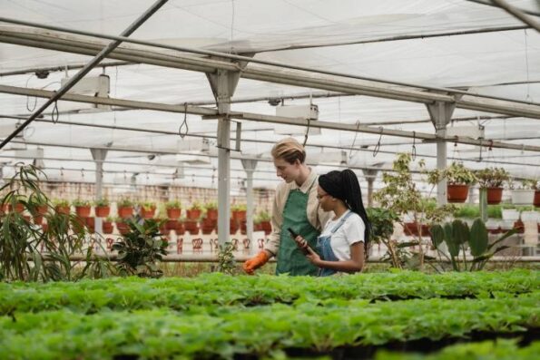 Social Indoor Vertical Farming